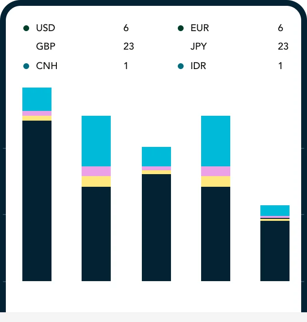 Multi-Currency Wallet